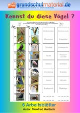 Kennst du diese Vögel 2.pdf